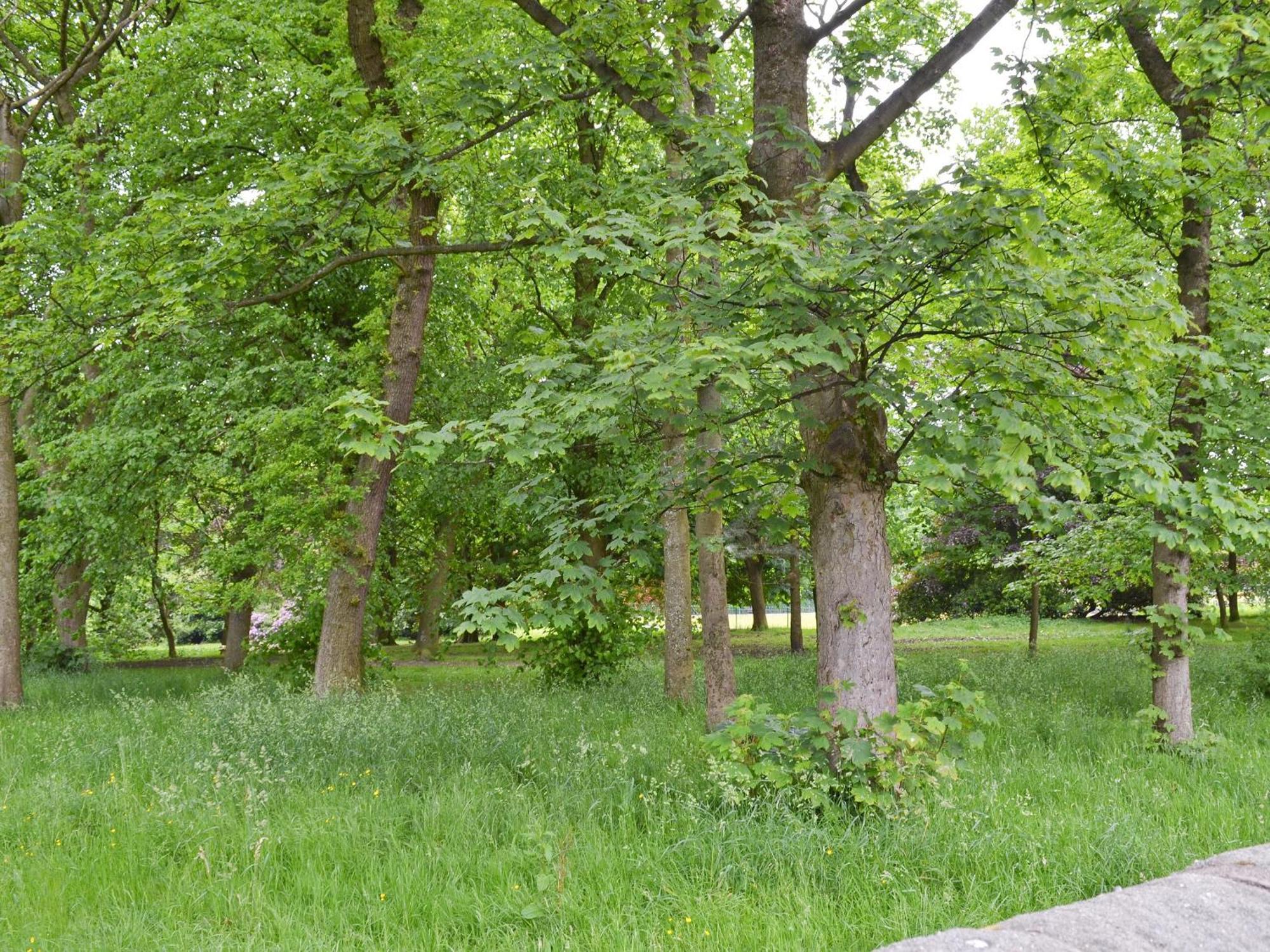 Park View Cottage Old Glossop Εξωτερικό φωτογραφία